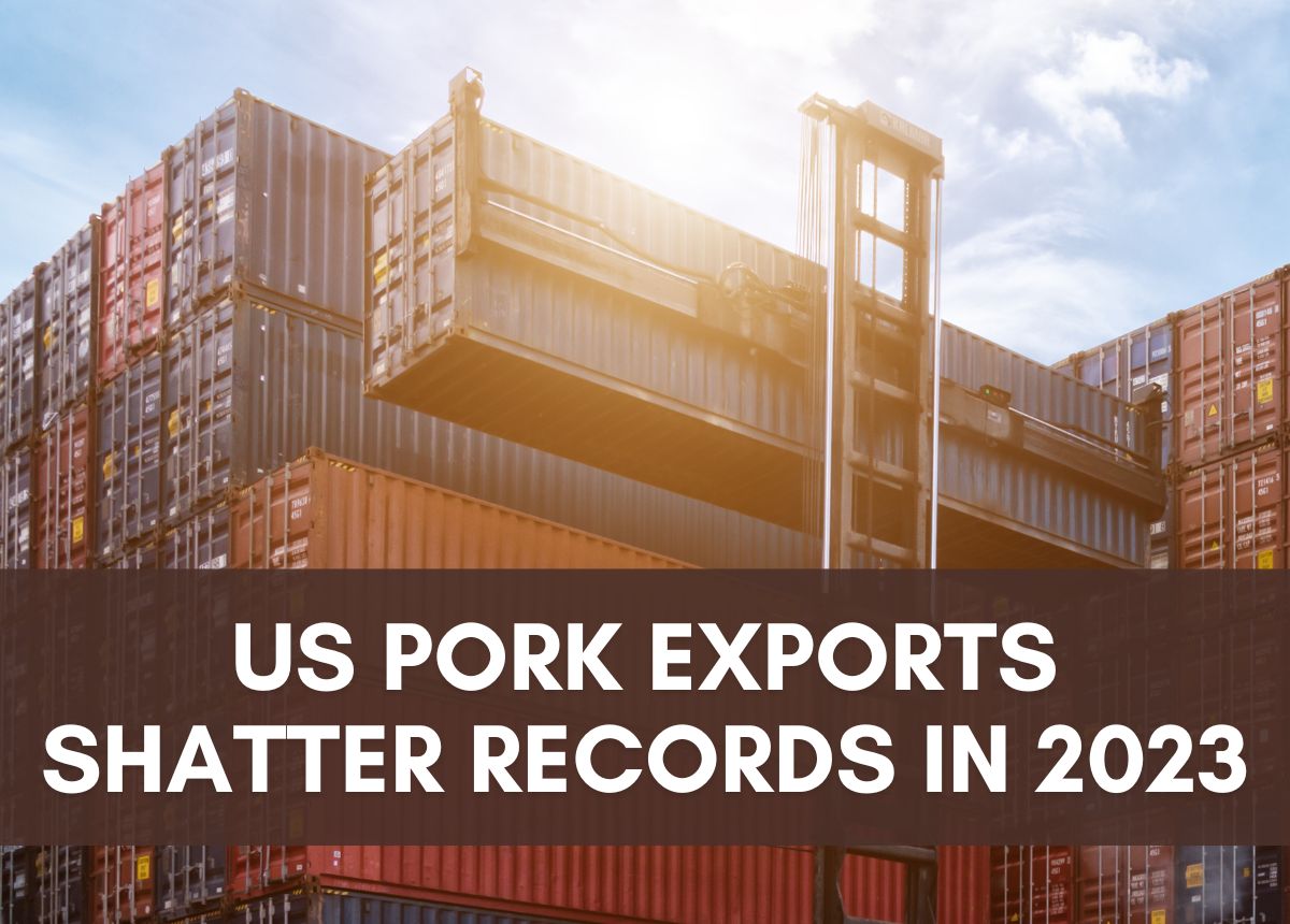 U.S. Pork Export Records Shatter in 2023 A Shining Star for the